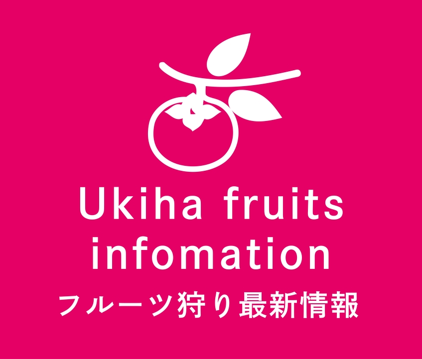 フルーツ狩り 最新情報