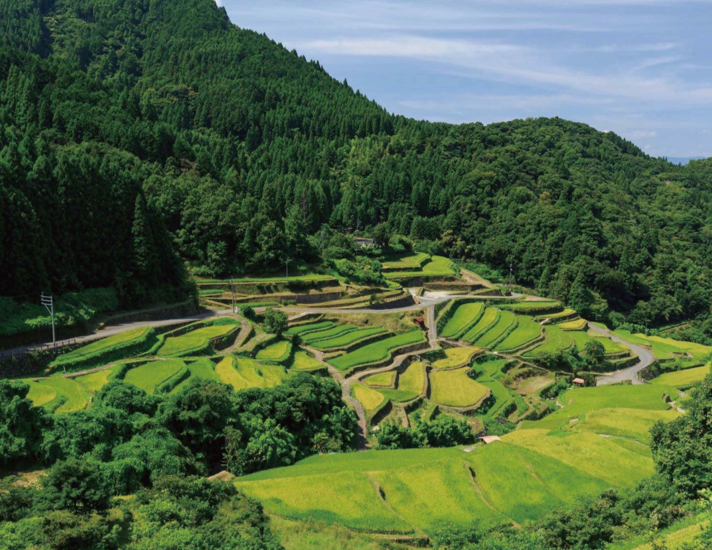 【2026年3月開催】森林セラピー＆古式ヨーガ