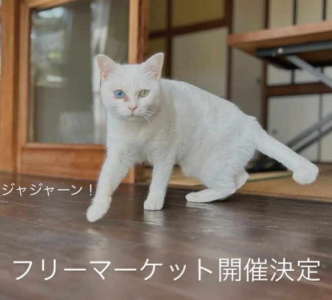 春のフリーマーケット開催