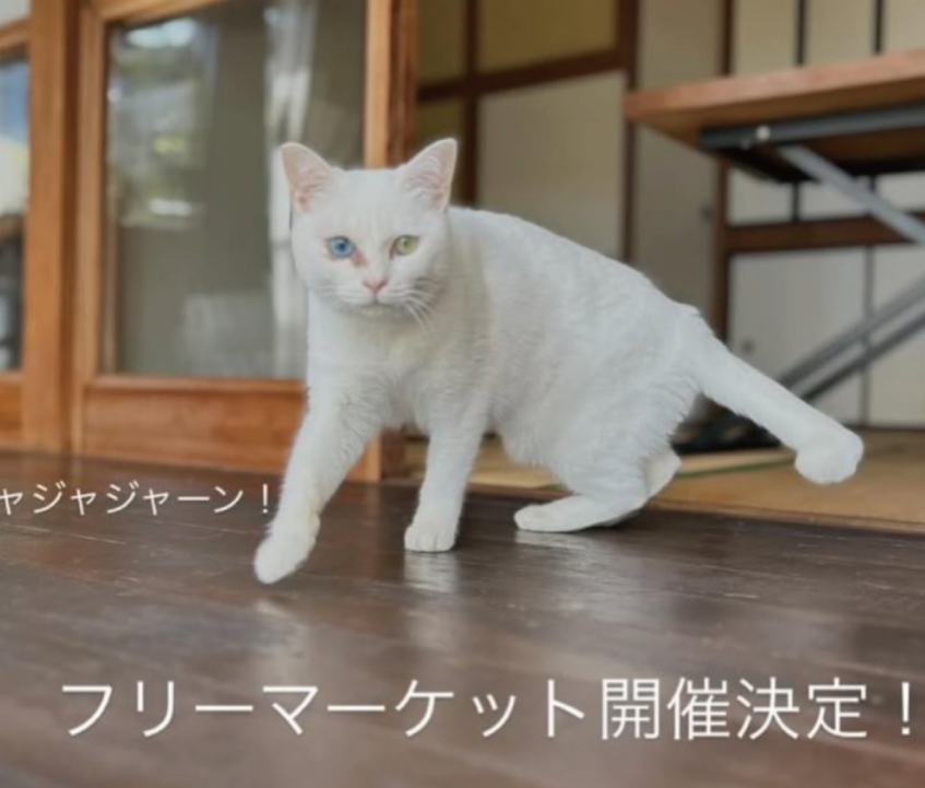 春のフリーマーケット開催