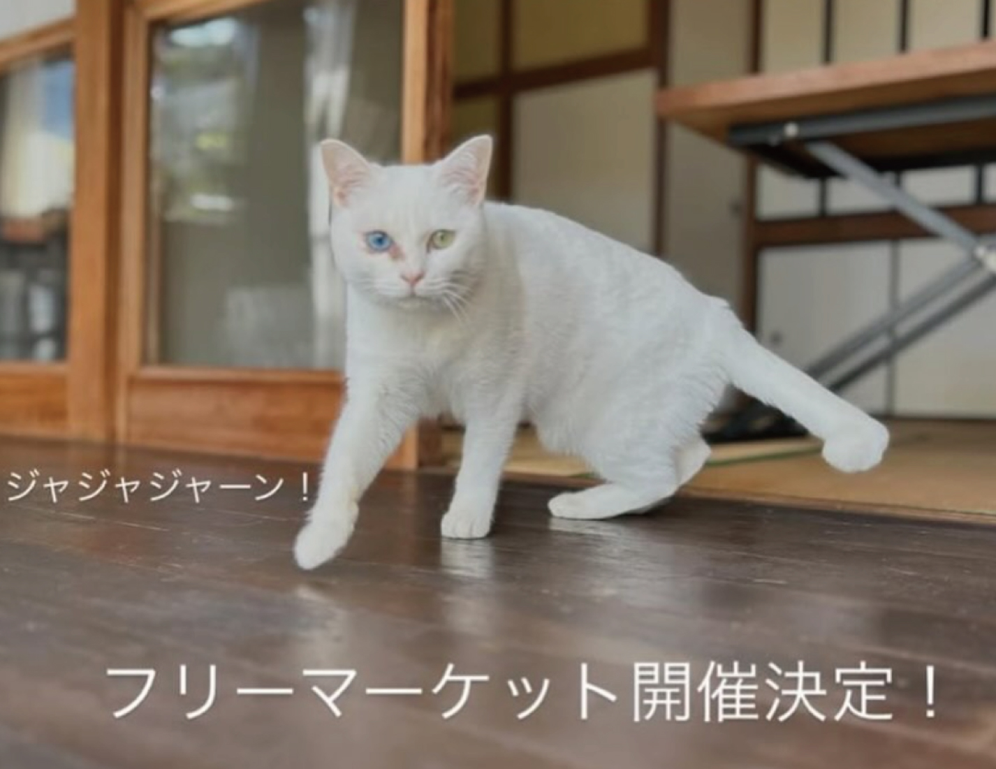 春のフリーマーケット開催