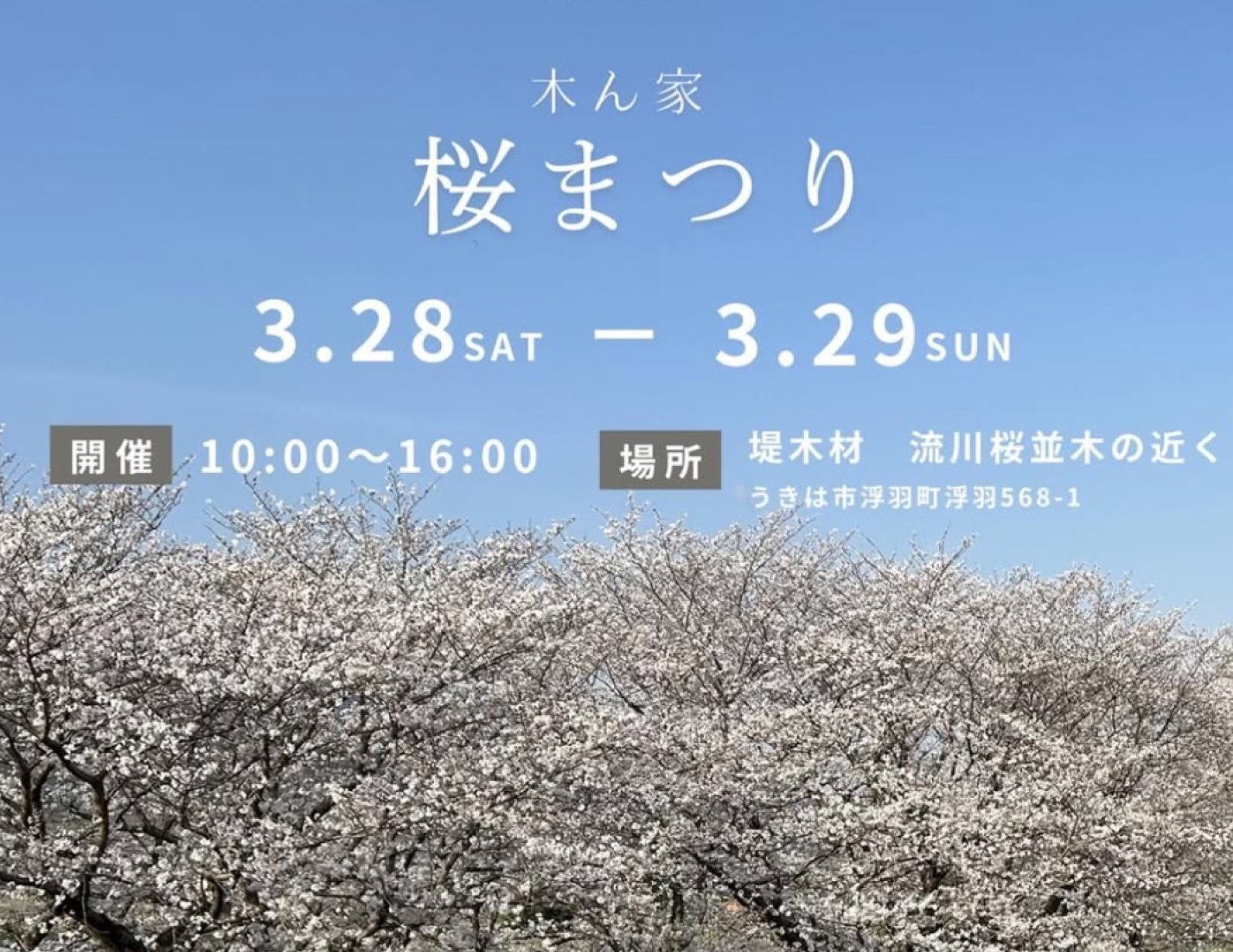 木ん家 桜まつりを開催！